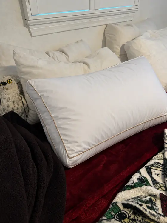 Customer photo from Michelle A.: the pillow propped against other pillows on a bed
