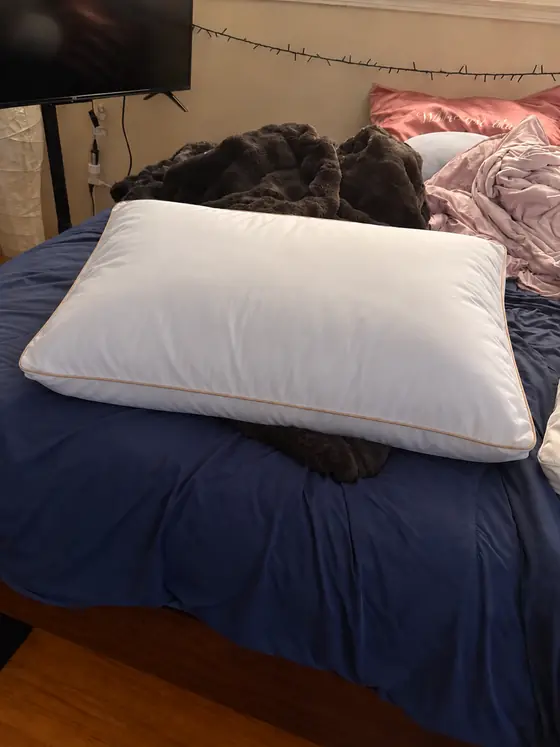 Customer photo from Christopher J.: the pillow on a bed with a navy comforter